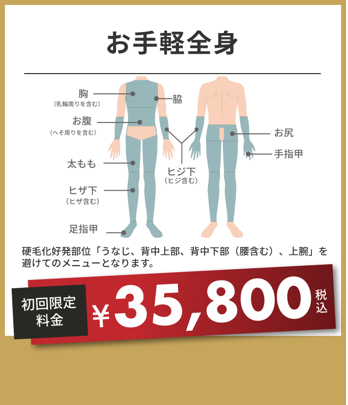 お手軽全身